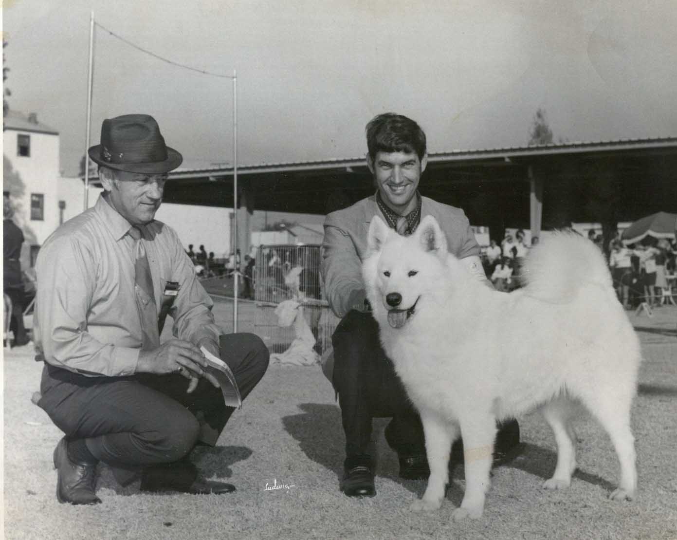 Oakbrook samoyeds 2024