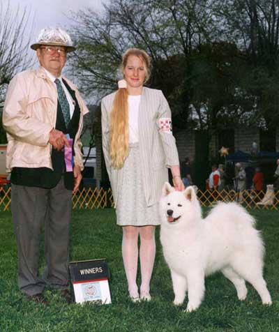 Oakbrook samoyeds 2024