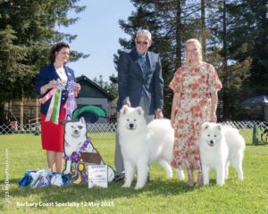 Jalan-Best in Sweeps / Gidget-Best Opposite