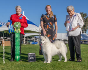 Gidget- Best Bred By/Specialty