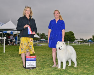 Gidget-Mission Circuit