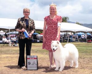 Mission Circuit 3pt major