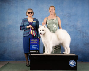 New Champion! Best of Breed