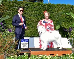 Gidget SB Best of Winners